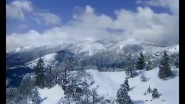 ПАМЯТИ АЛЕКСАНДРА ДЕДЮШКО