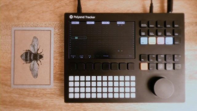 polyend tracker - "temporal shift" - ambient idm смотреть онлайн