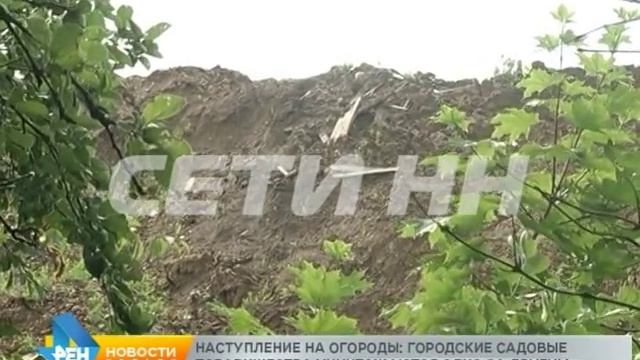 Садовые участки в центре города становятся исчезающим видом - новое садоводство засыпают грунтом смотреть онлайн