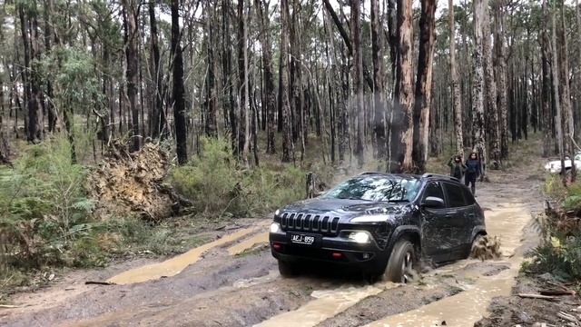 Cherokee Trailhawk & Toyota Prado 4wd in Wombat State Forrest смотреть онлайн