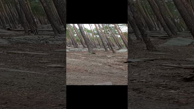 Подъезд по склону Чëртов.mp4 смотреть онлайн