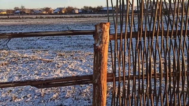 Забор из орешника своими руками. Бюджетный вариант забора из дерева. #заборсвоимируками #забор смотреть онлайн