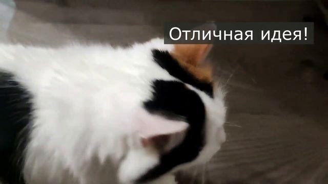 САМЫЙ ВАЖНЫЙ САЛАТ НА НОВОГОДНЕМ СТОЛЕ. ОЛИВЬЕ с куриной грудкой. Готовим с Катей смотреть онлайн