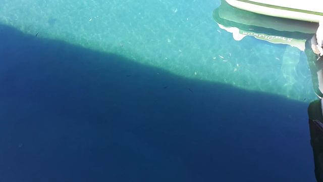 Абхазия 7 смотреть онлайн