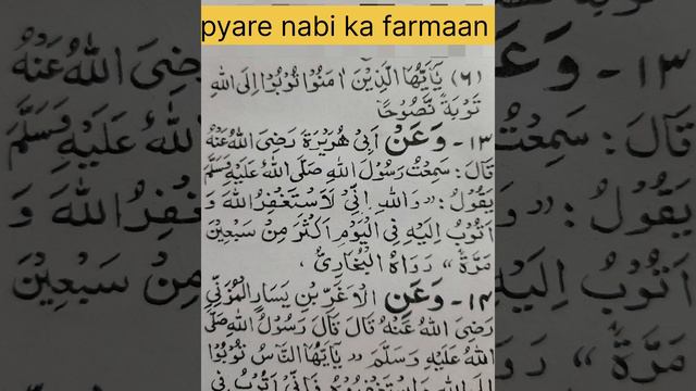 lafzi tarjuma Hadith translation Arabic urdu/hindi# islam☪️islam #quran #tarjuma #hadith # смотреть онлайн