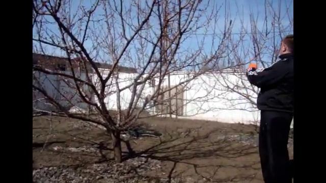 Как правильно обрезать плодовые деревья. смотреть онлайн