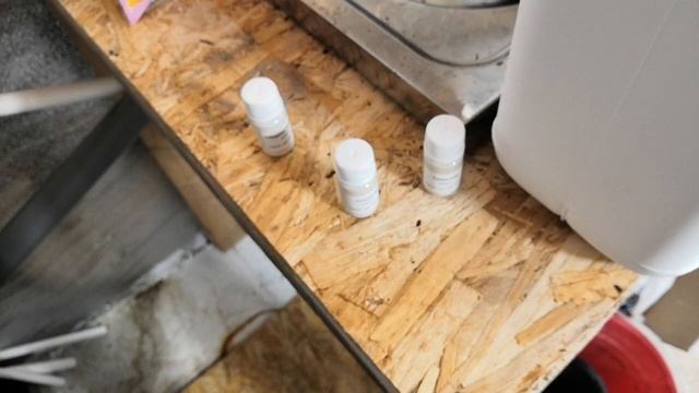 ?Обзор препарата оберон от клеща, спинтор от трипса и стимулятора для клубники фульвумин. смотреть онлайн