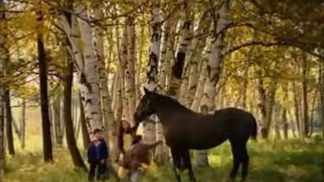 nikon d80 review смотреть онлайн