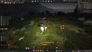 Black Desert Где ловить лошадей