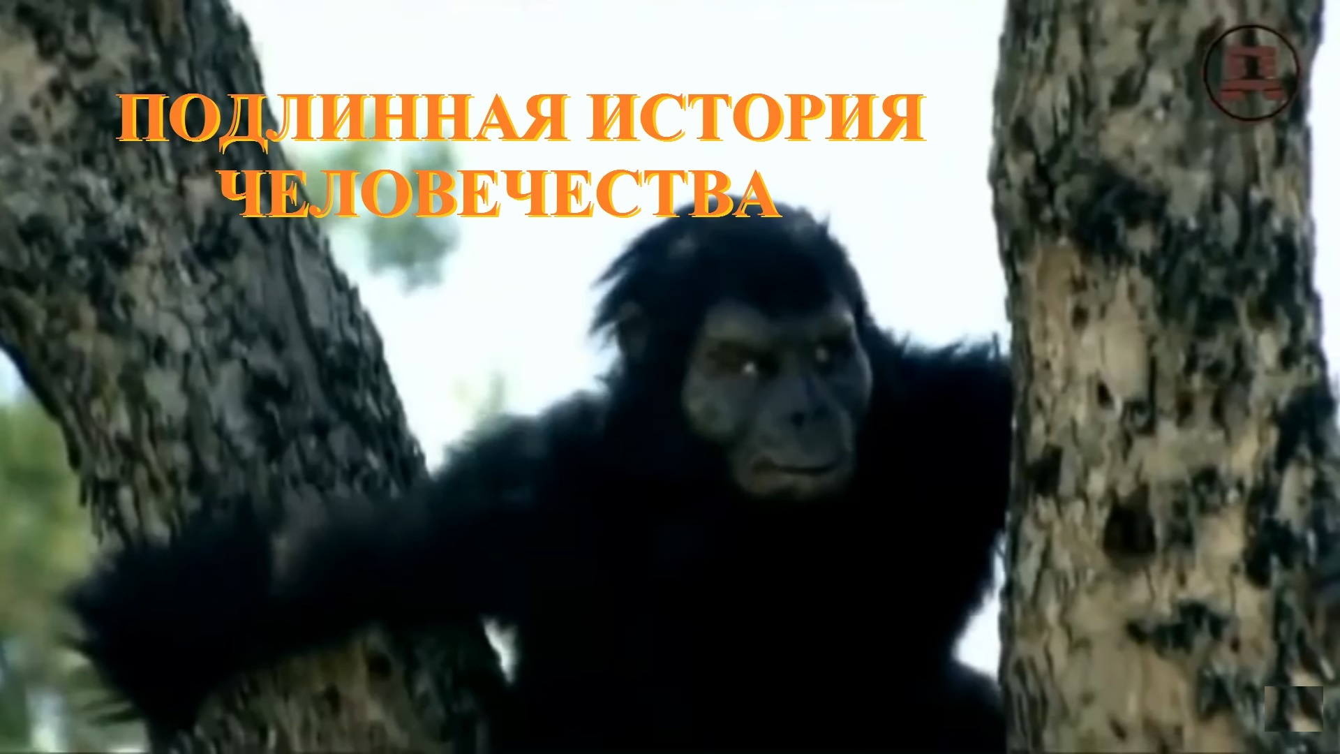 ПОДЛИННАЯ ИСТОРИЯ ЧЕЛОВЕЧЕСТВА смотреть онлайн