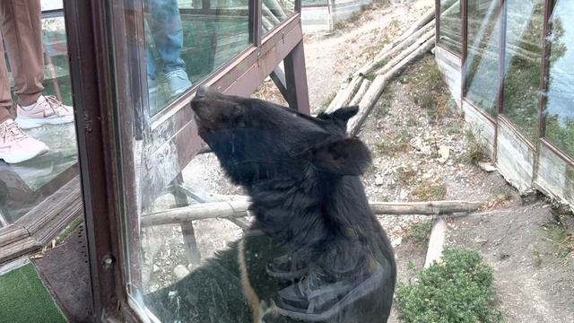 20 - 22.09.22. Последний день отпуска( смотреть онлайн