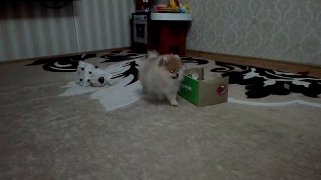 Тэйси 3 месяца смотреть онлайн