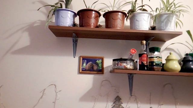 С Рождеством Христовым.& Зимняя прогулка.& Что в холодильнике & Пеку печенье. #life смотреть онлайн