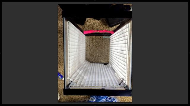 How I Built the Drip-Wall Terrarium 10G - Part 1 смотреть онлайн