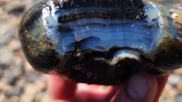 Jasper & Palm Wood with BLUE Chalcedony #rockhunting смотреть онлайн
