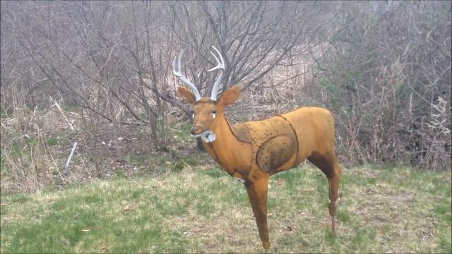 Zombies Walk Among Us NEW EVIDENCE смотреть онлайн