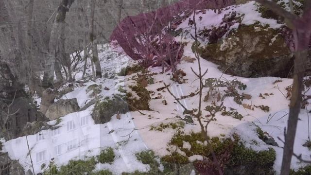 18.01.2022 Назад к снежинкам.mp4