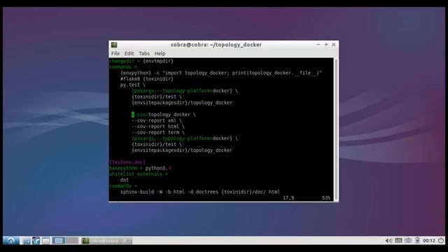 001. Modify tox.ini to use tox to run topology_docker for the first time смотреть онлайн