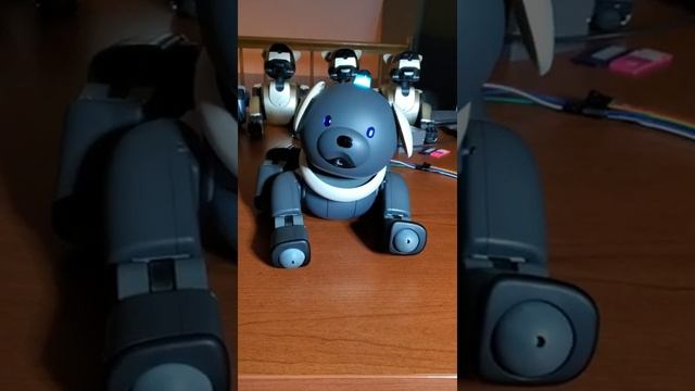 Java Before and After Pan Axis Jitters смотреть онлайн
