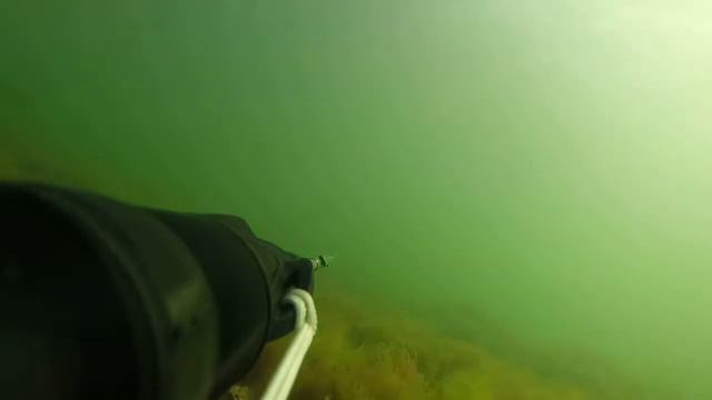 Подводная охота 2021 | Подводная охота на Черном море | Spearfishing on the Black Sea смотреть онлайн