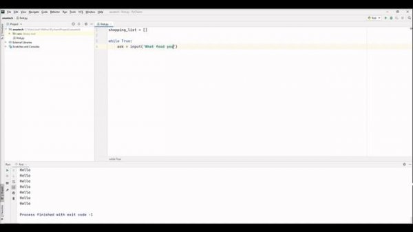 What is While True? (Python Programming)