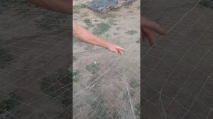 Про заходы во дворы вентерей, секретов