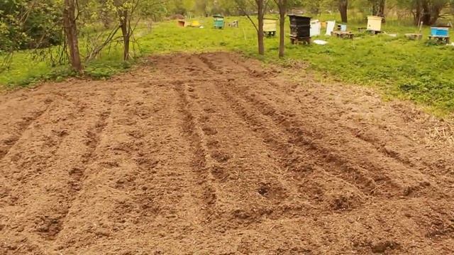 Просьба к подписчикам. Текущие дела. смотреть онлайн