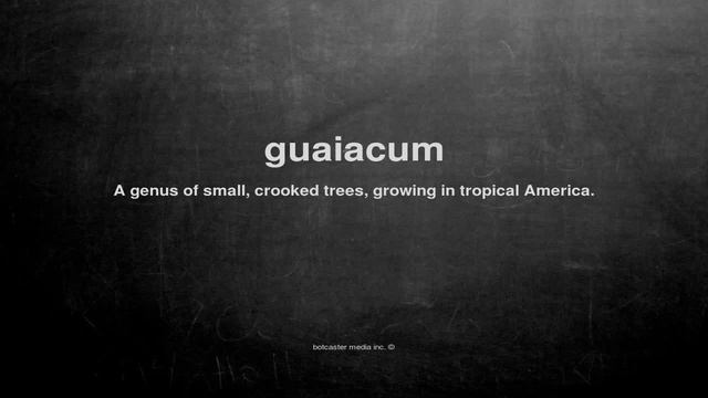What does guaiacum mean смотреть онлайн