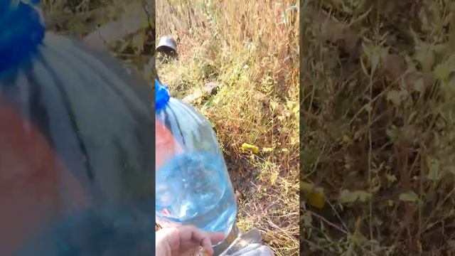 Простое вскрытие ампулы с Бипином.