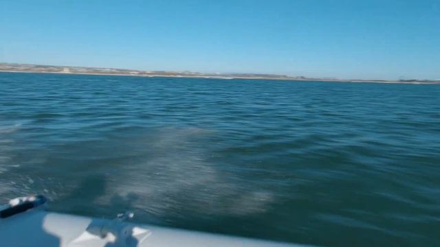 Inflatable Boat | Fast RIBs | Dinghies | 2021 Tohatsu 9.8 HP MFS9.8BS