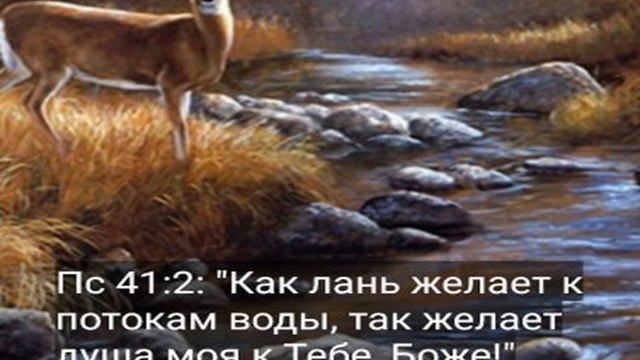 Как к источнику лань смотреть онлайн