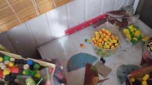 Мандула своими руками  Проточки и нюансы