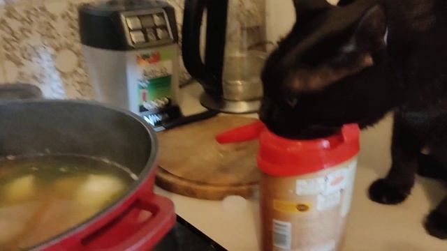 Финдус не может дождаться куриного супа