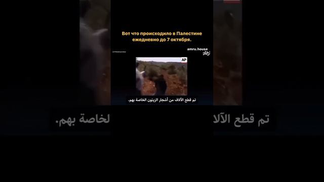 Что было в Палестине до 7 октября смотреть онлайн