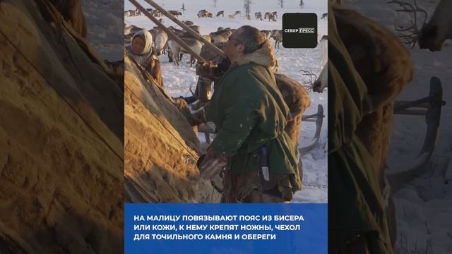 ? Как ненцы делают одежду #shorts смотреть онлайн