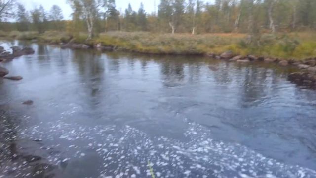 10 сентября 2020 г. смотреть онлайн