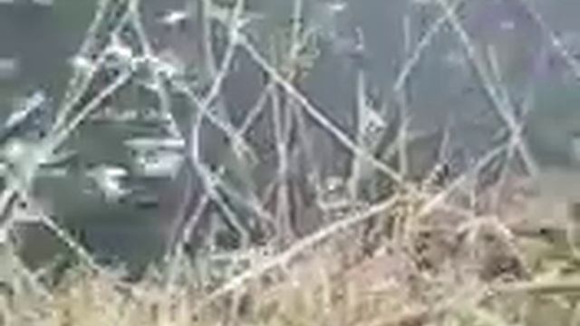 рыбалка в астраханской области. село Долгино смотреть онлайн