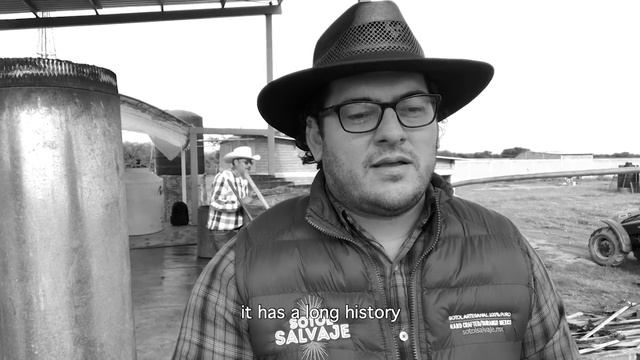 Sotol Salvaje History of an agave distillate смотреть онлайн