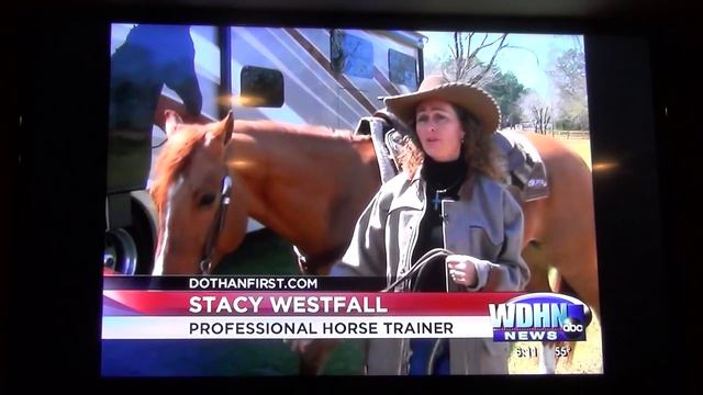Newt made the News WDHN Dothan, Alabama смотреть онлайн