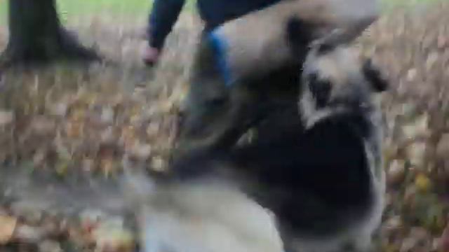 Джим Грей смотреть онлайн