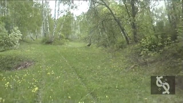 GreyBeast Movie Jeep Grand Cherokee WK WH смотреть онлайн