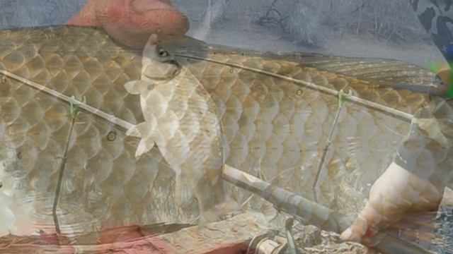 когда начинает клевать карась весной|советы ловля карася весной смотреть онлайн