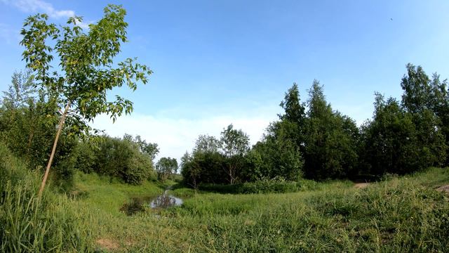 Приморский район Лес Река смотреть онлайн