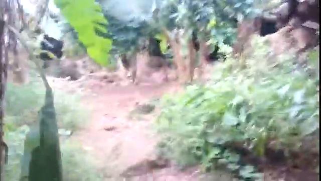 Easter island смотреть онлайн