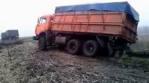 Камазы на Уборке Урожая (Камаз Чуть не Лег на Бок) // KAMAZ Almost fell on the Side