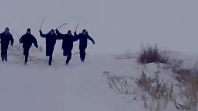 Прикольное видео.mp4 смотреть онлайн