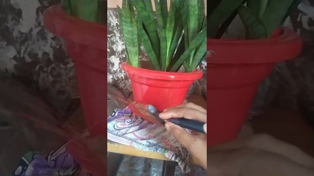 How to colour pot???? смотреть онлайн