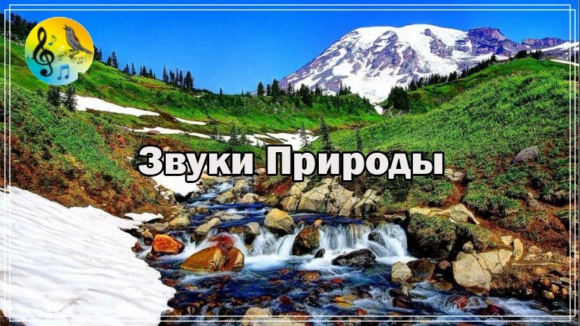 Релакс ? 1 час Горный ручей. Расслабляющие звуки природы ? Relax смотреть онлайн