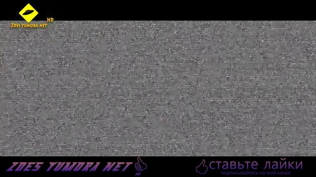 Подборка приколов про животных Часть 2 смотреть онлайн