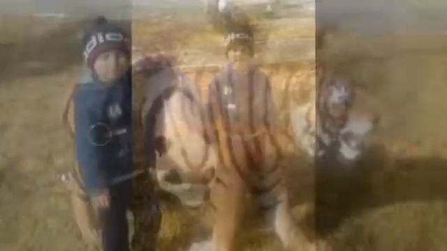 Поздравления сыночку Дамир 5 лет 7 июня 2018г. смотреть онлайн